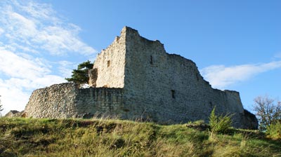Burg Lichtenegg (Gemeinde Birgland)